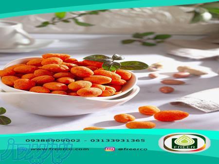 فروش عمده طعم دهنده پنیری فریر 