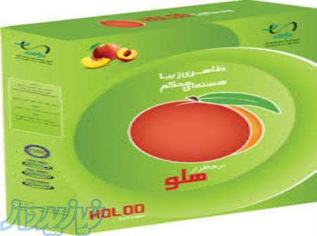 آموزش نرم افزار حسابداری هلو با حل پروژه های کاربردی در آموزشگاه فنی حرفه ای رویش اندیشه 