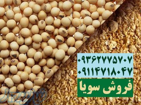 خرید سویا کیلویی 