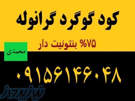 کود گوگرد گرانوله بنتونیت دار75  09156146048 