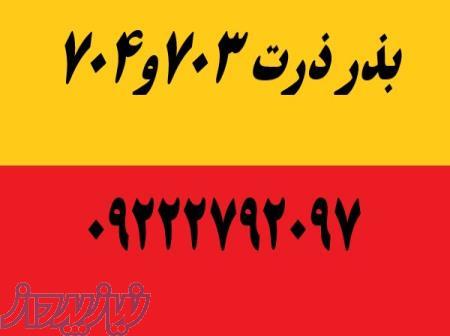 فروش بذر ذرت703و704  09222792097 
