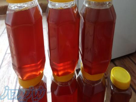 عسل طبیعی سبلان 