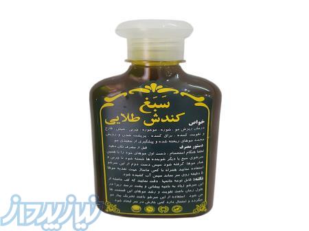 تولید و پخش شامپو کندش مشکی اصل 