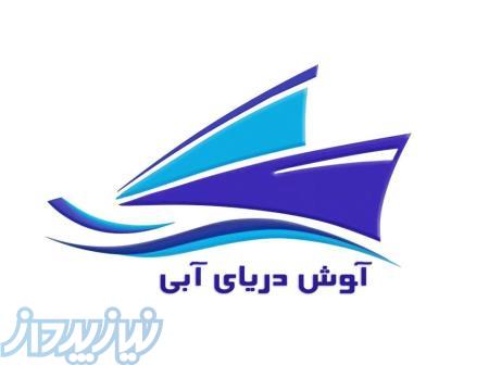 شرکت حمل ونقل بین المللی آوش دریای آبی 