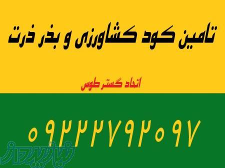 کود شیمایی و نهاده(سولوپتاس،دی آمونیوم،سوپرفسفات،نیترات و   )09222792097 