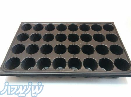 عرضه سینی کشت نشاء 28 48 104 128 حفره