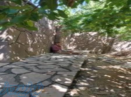 سنگ لاشه سبز دماوند 