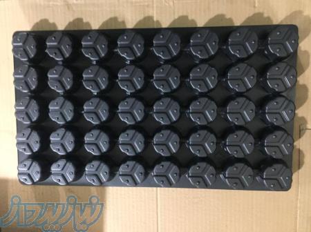 عرضه سینی کشت نشاء ۲۸ 48 104 128 حفره ترک