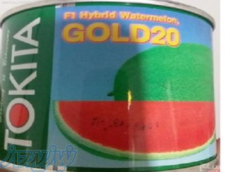 بذر هندوانه سفید توکیتا اصل 