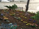 خدمات باغبانی و باغچه در زعفرانیه