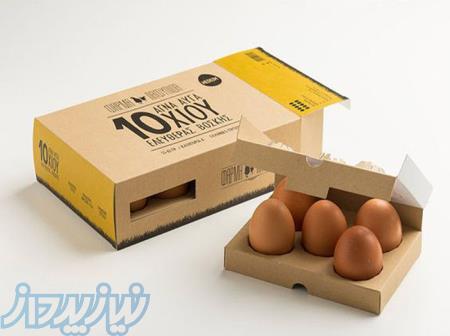 تخم مرغ محلی (رسمی) 