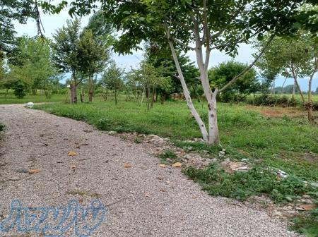 ۲۱۳ متر زمین مسکونی 