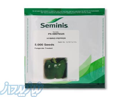 بذر فلفل دلمه 9325 