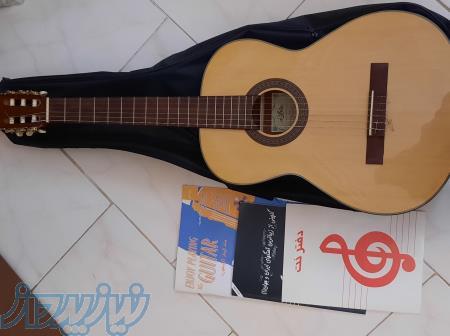 گیتار خردلی اکوستیک آریا 