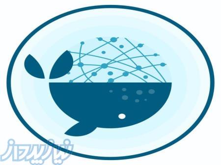 تعدادی بازاریاب (ویزیتور) برای فروش محصولات 