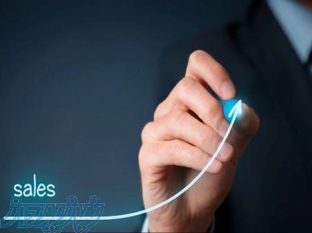 مشاور و کوچ حرفه ای بازاریابی و فروش 