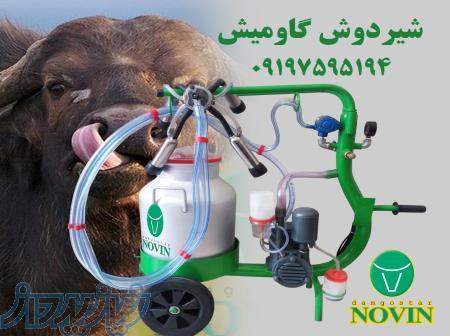 شیردوش گاومیش 