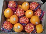فروش ارز صادرات سیب و پرتقال