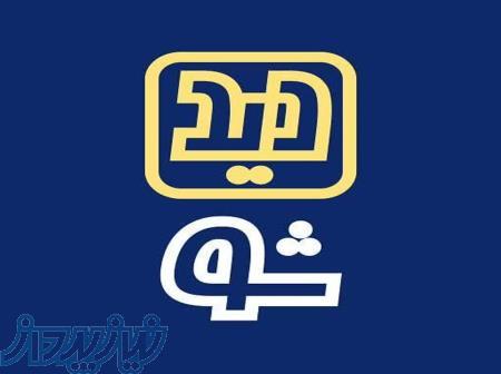 طراحی سایت دیدشو