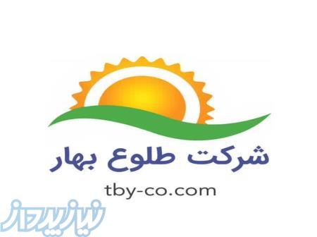 شرکت نمک طلوع بهاریزد 