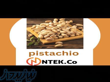 فروش و صادرات انواع پسته در بسته بندی و سایزبندی مختلف