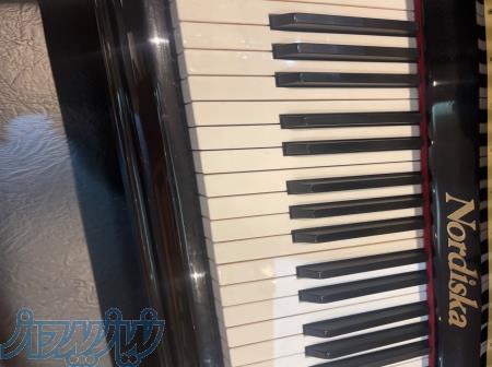 پیانو نوردیسکا 