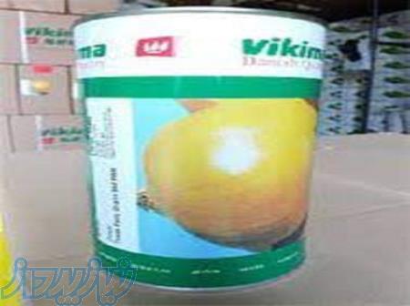 فروش بذر پیاز طلایی ویکمیا 