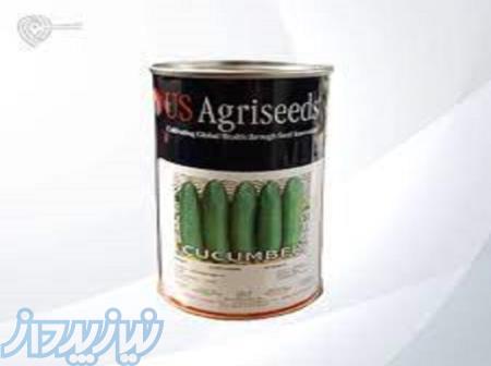 بذر خیار سوپراستار 