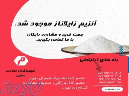 آنزیم زایلاناز 
