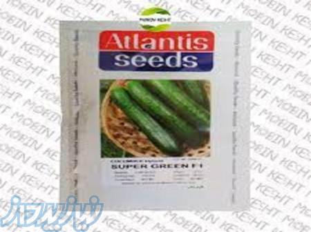 بذر خیار سوپر گرین آتلانتیس 