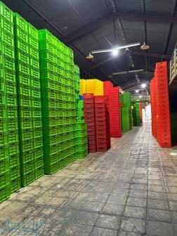 سبد کشتارگاهی ، جعبه 40 کیلویی ماهی و میگو ،سبدهای لبنیاتی ، قفس حمل مرغ ، سبد میوه و    