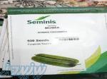 بذر خیار گلخانه ای مونزا 