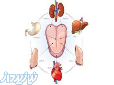 آموزش زبان شناسی جامع و کامل