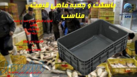 سبد و جعبه ماهی و میگو درجه یک و دو