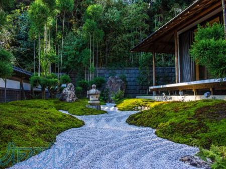 شرکت پردیس گستر چینود شرکت تخصصی باغسازی 