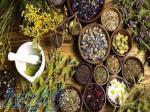 آموزش پرورش گیاهان دارویی به صورت تخصصی