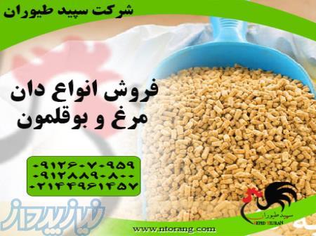 فروش دان مرغ گوشتی و تخم گذار - استان تهران 