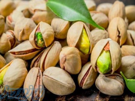 بازرگانی جید 