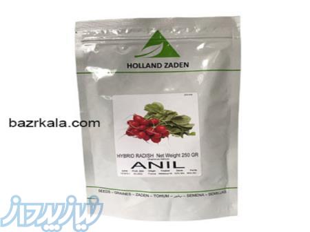 بذر تربچه آنیل 