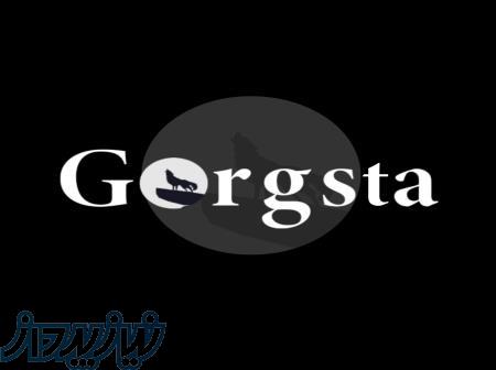 طراحی سایت ، اپلیکیشن، سئو در گرگان   گرگستا   