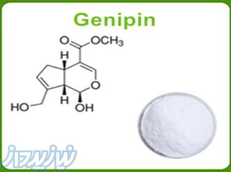 عرضه ماده جنیپین-Genipin (کراس لینکر 100  گیاهی) 