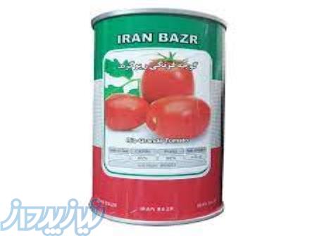 بذر گوجه فرنگی ریوگراند 