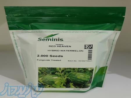 بذر هندوانه ردهیون 