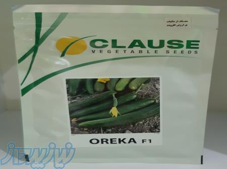 بذر خیار اورکا 