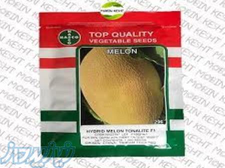 بذر خربزه تونالیت ناسکو 