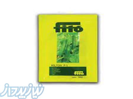 بذر خیار گلخانه ای یکتا فیتو 