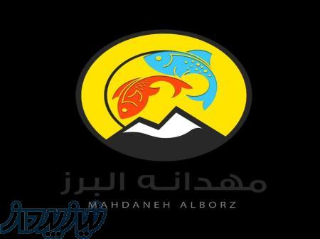 غذای حیوانات (سگ گربه ماهی بلدرچین مرغ بوقلمون و   ) 