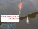 مرکز فروش عمده کوی باله بلند و پوست چرمی در رنگهای مختلف - فقط عمده