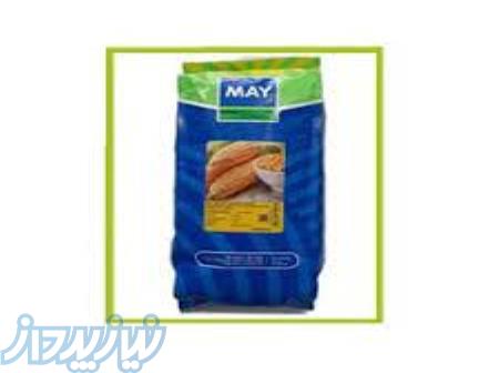 بذر ذرت شیرین خان مای 