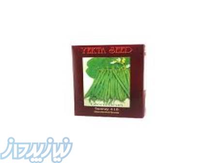 بذر لوبیا سبز یکتا جماران 